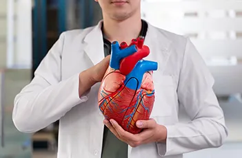 Cardiac (Heart) Panel Basic